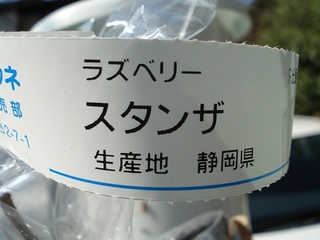 ラズベリースタンザラベル.jpg