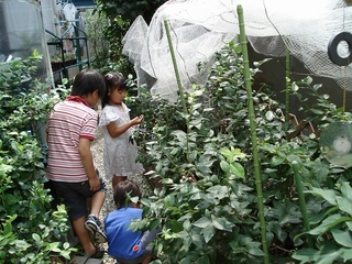 子供たちの収穫01.jpg