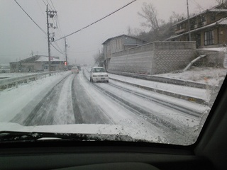 20100113雪.jpg