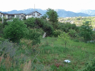 21_2010待ち桶.jpg